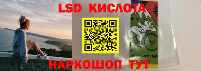 индика Нальчик