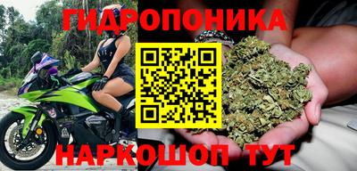 индика Нальчик