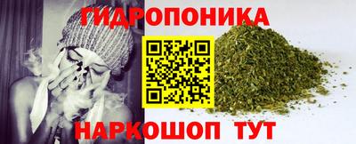 спиды Нарткала