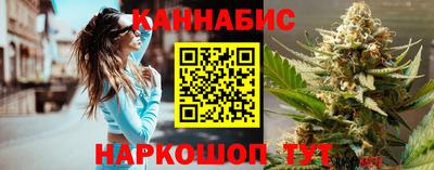 индика Нальчик