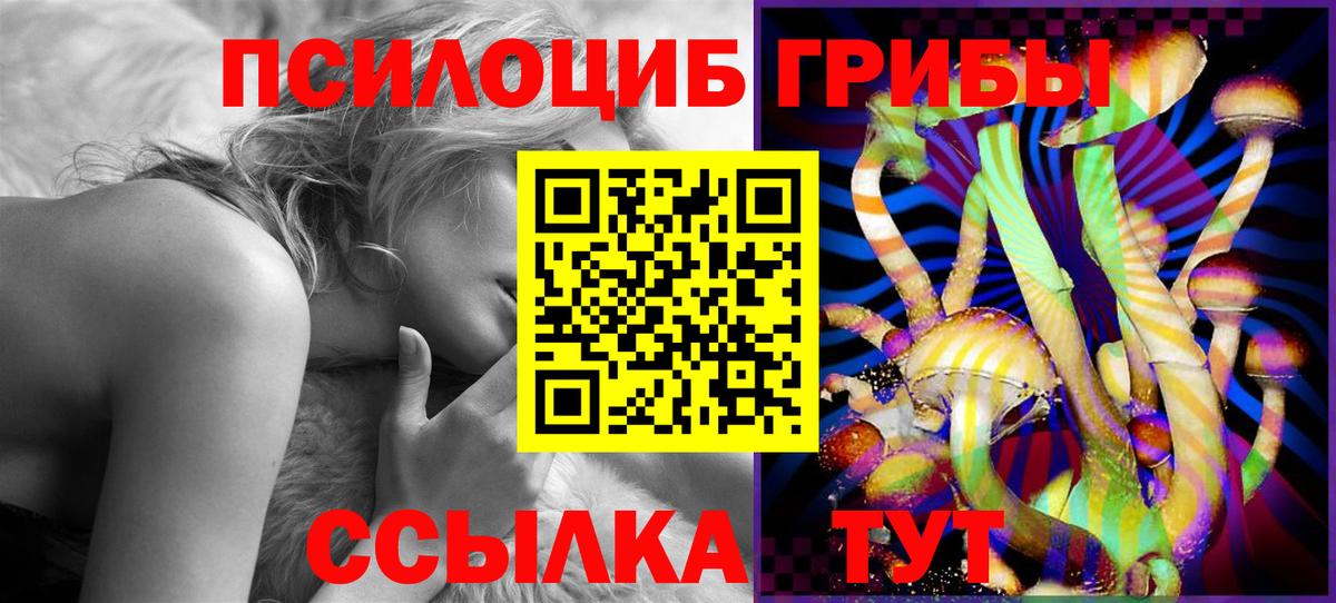 Псилоцибиновые грибы мицелий  Вход с VPN  Ступино 