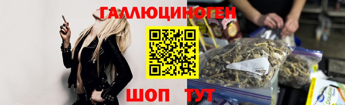 Псилоцибиновые грибы Cubensis Ступино